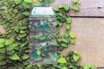 PUR Breast Milk Storage Bags - 24 Bags (6207/23) - Image 3